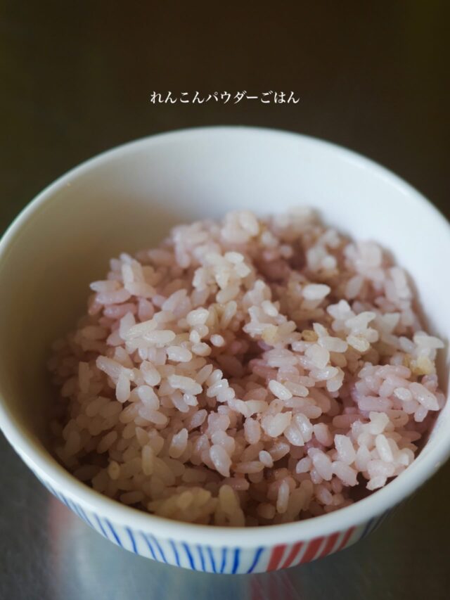 れんこんパパ れんこんパパの釣り日誌 - YouTube